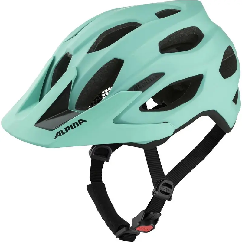 Alpina Carapax 2.0 turquoise matt