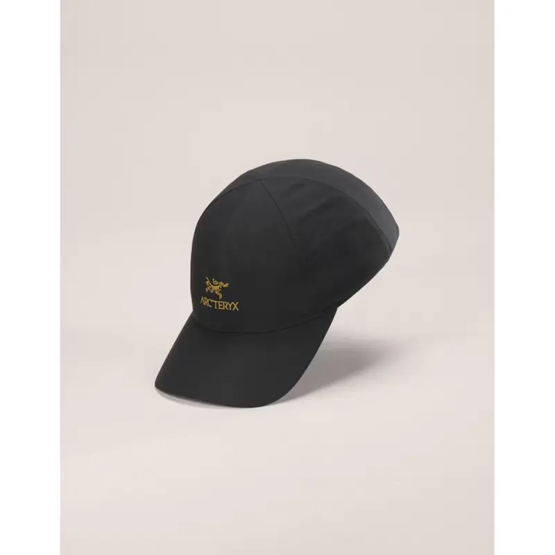 Arcteryx Bird Word 24K black Unisex Cap