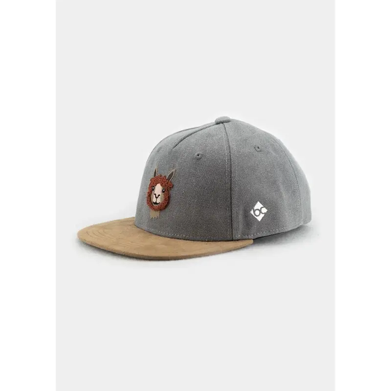 Bavarian Caps Alpaka grau