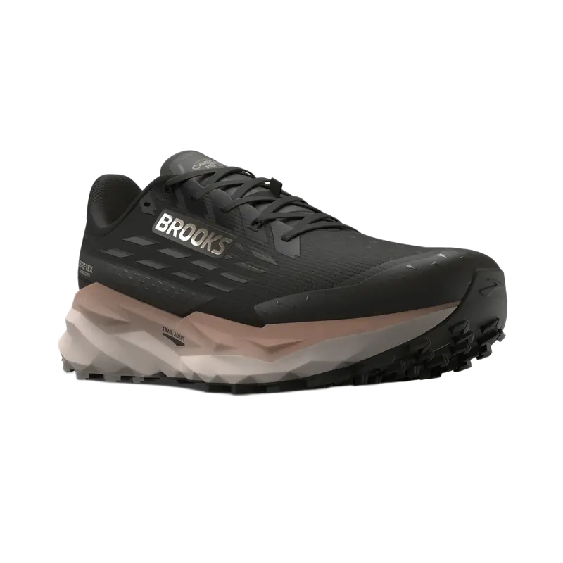 Brooks Cascadia 19 GTX Herren