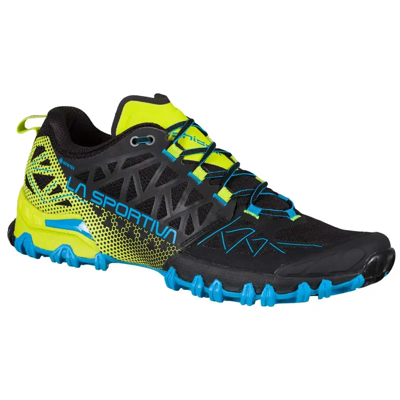 BUSHIDO II GTX Herren