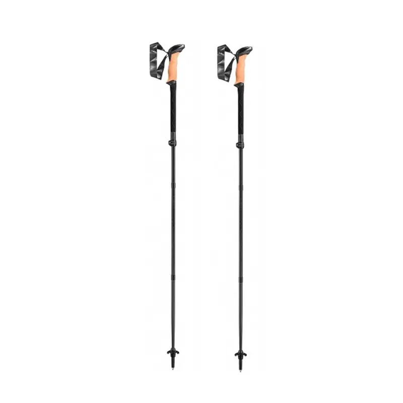 Leki Black Series FX Carbon