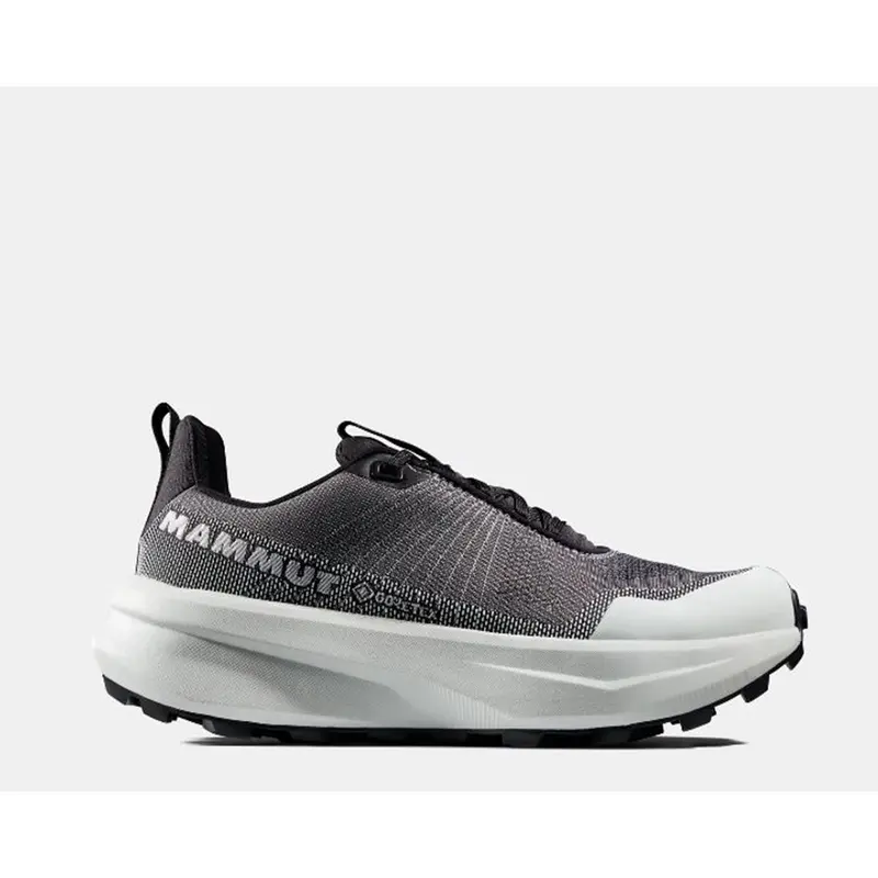 Mammut Aenergy MTN Low GTX Women black silver sage