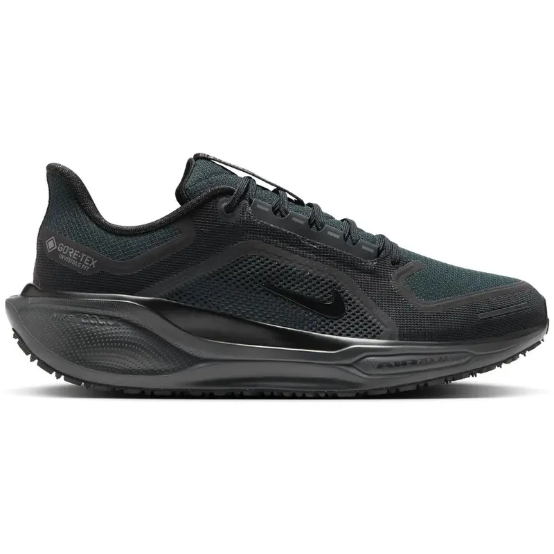 Nike Pegasus 41 GTX Men black