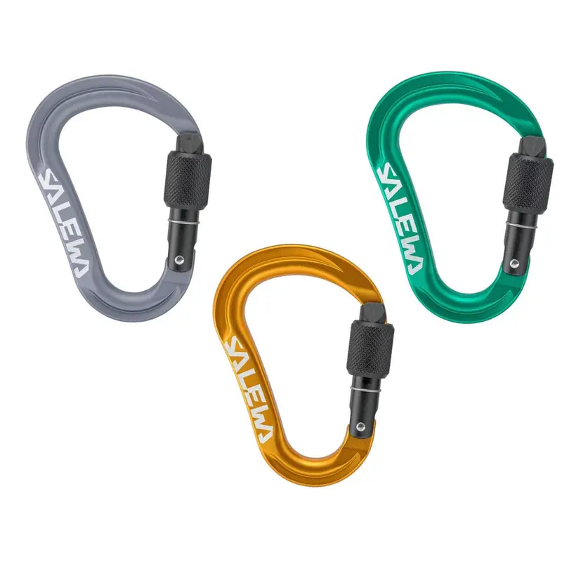 Salewa Ortles HMS Karabiner S