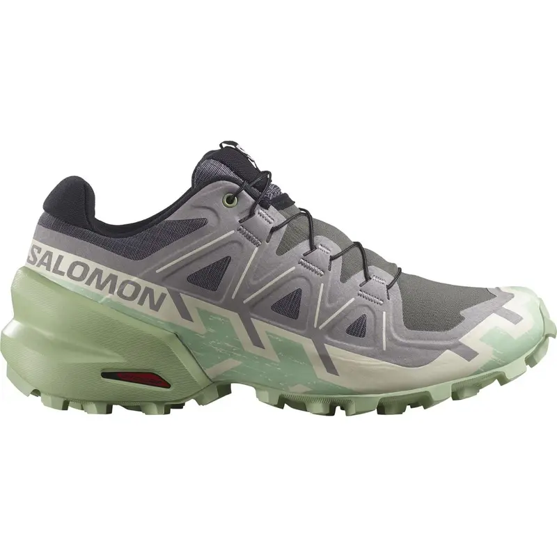 Salomon Speedcross 6 Women castlerock vanilla ice smoke green