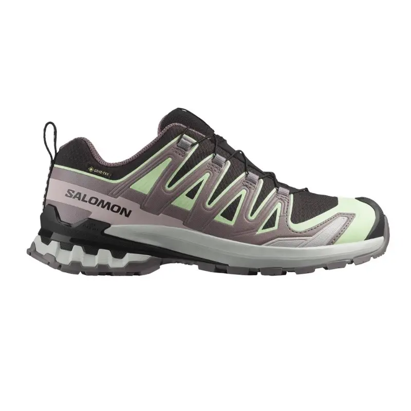 Salomon XA PRO 3D V9 GORE-TEX Black / Patina Green / Gray Violet Damen