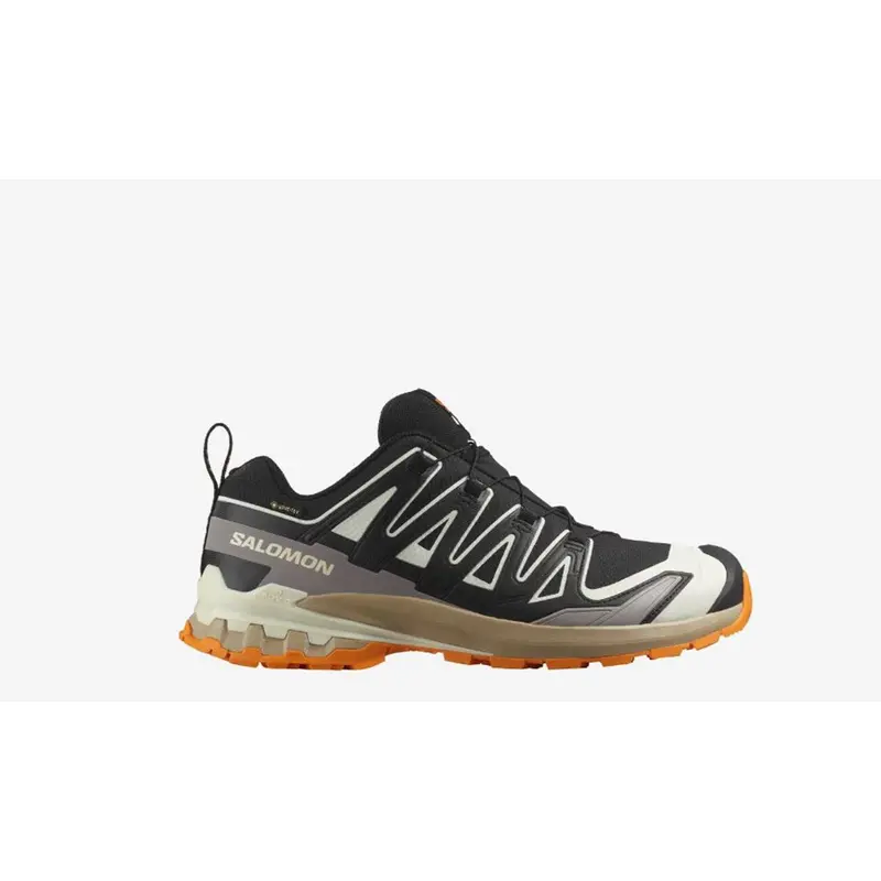 Salomon XA Pro 3D V9 GTX Men black vanilla ice tumeric