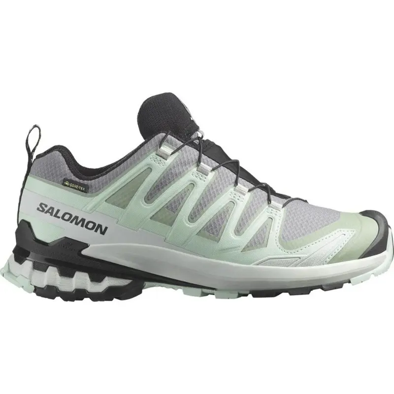 Salomon XA Pro 3D V9 GTX Women quit shade lily pad blue haze