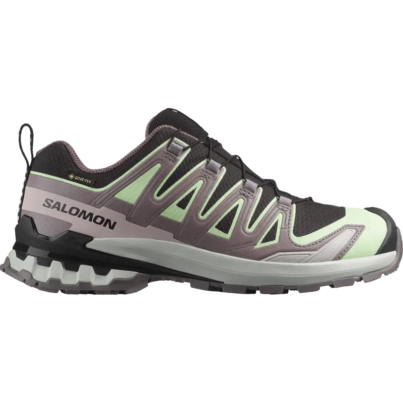 SHOES XA PRO 3D V9 GTX W Black/Pating/Gr