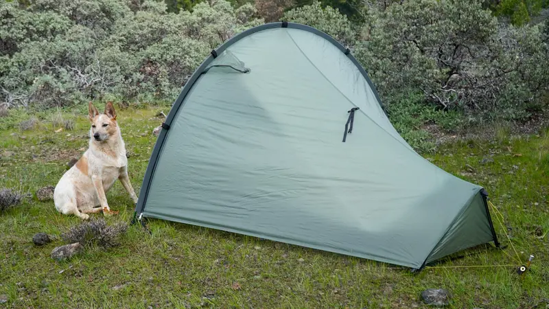 TarpTent Moment DW