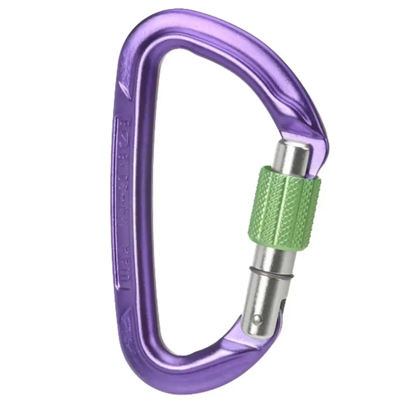Wild Country Session Screw Gate - purple/green
